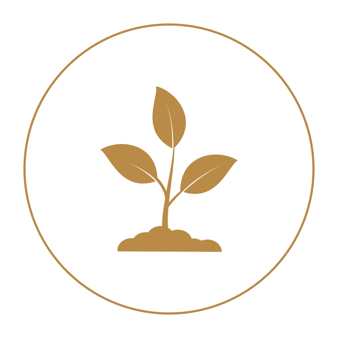 Seedling icon